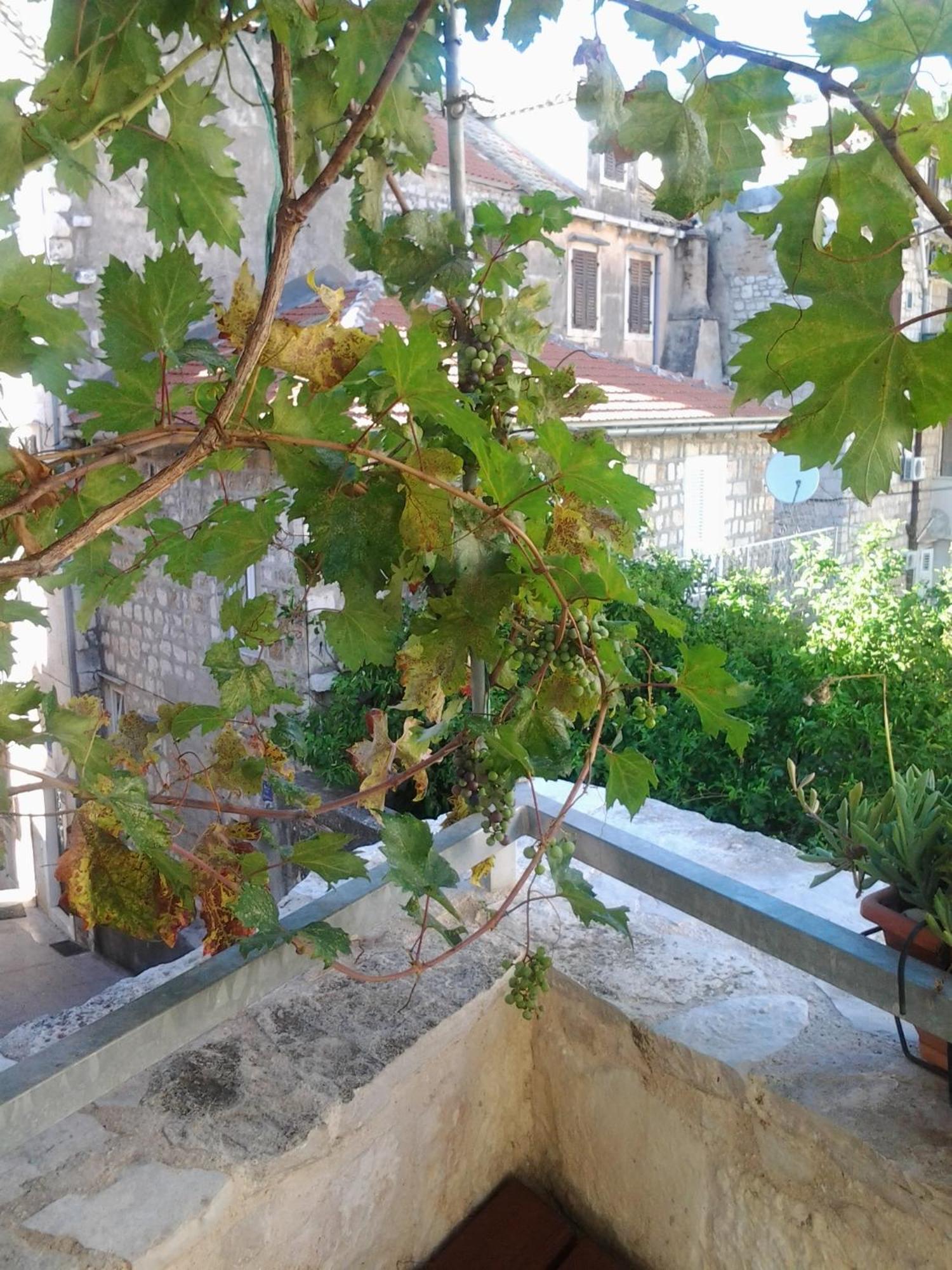 Apartments Donika Komiža Szoba fotó